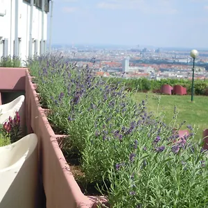 Palace Vídeň